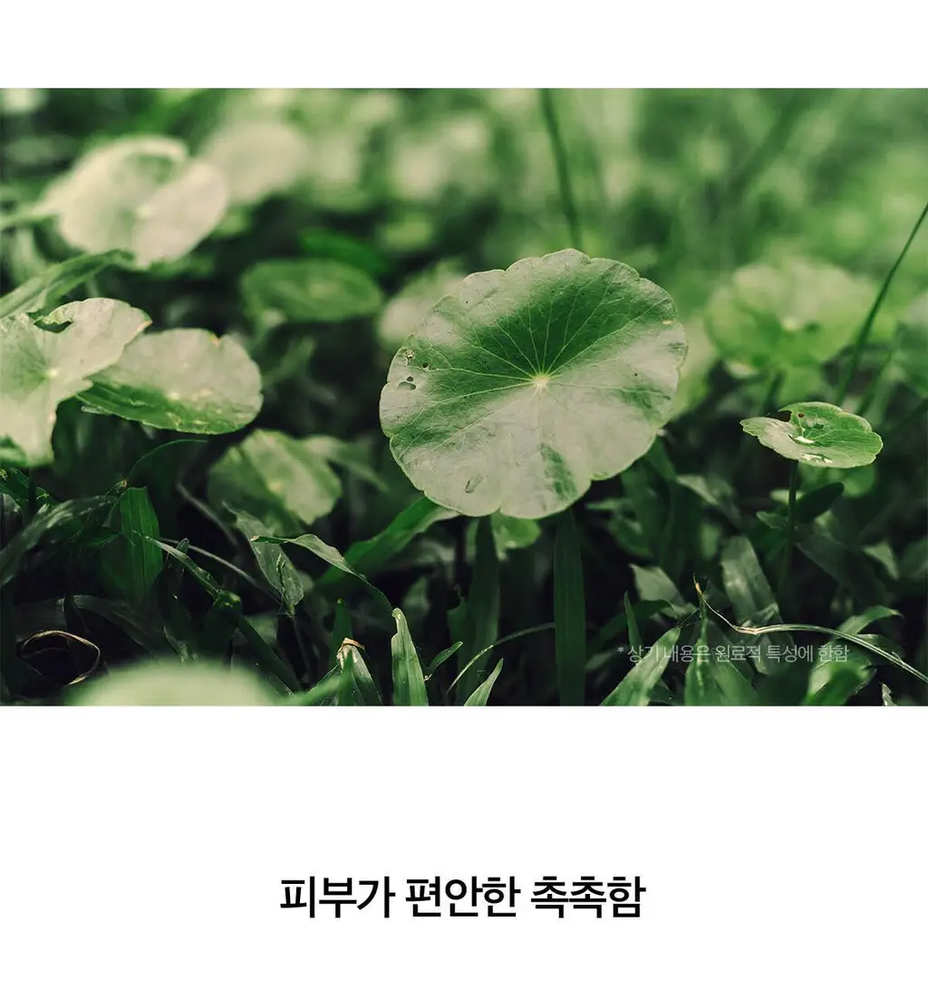[톤업선크림]스킨1004 마다가스카르 센텔라 톤 브라이트닝 톤업 선스크린 50ml 상세페이지 12
